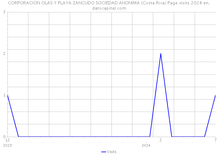 CORPORACION OLAS Y PLAYA ZANCUDO SOCIEDAD ANONIMA (Costa Rica) Page visits 2024 