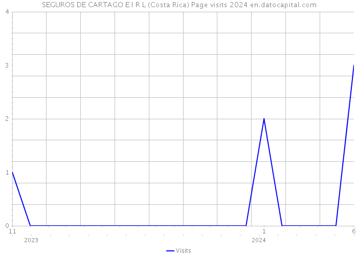 SEGUROS DE CARTAGO E I R L (Costa Rica) Page visits 2024 