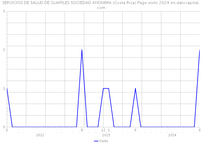 SERVICIOS DE SALUD DE GUAPILES SOCIEDAD ANONIMA (Costa Rica) Page visits 2024 