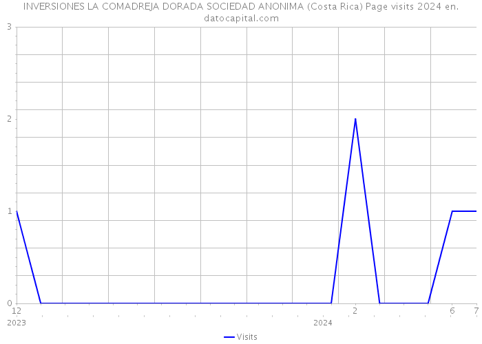 INVERSIONES LA COMADREJA DORADA SOCIEDAD ANONIMA (Costa Rica) Page visits 2024 