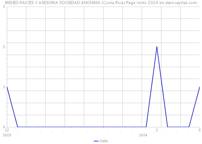 BIENES RAICES Y ASESORIA SOCIEDAD ANONIMA (Costa Rica) Page visits 2024 