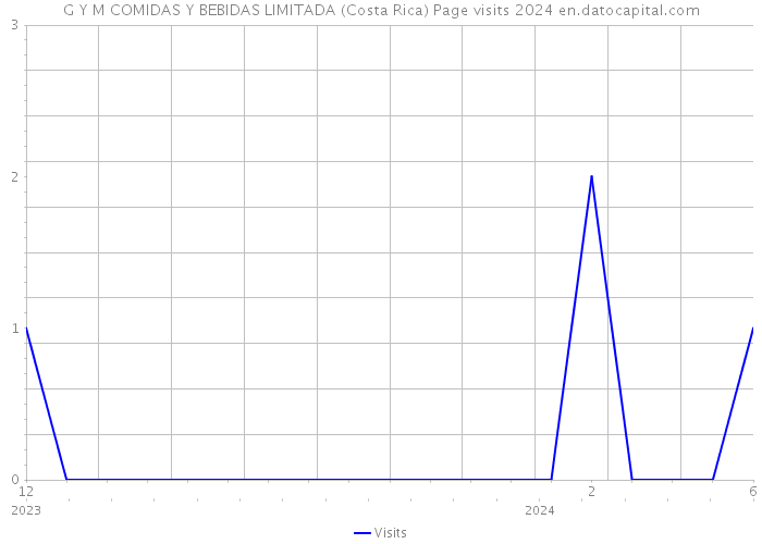 G Y M COMIDAS Y BEBIDAS LIMITADA (Costa Rica) Page visits 2024 