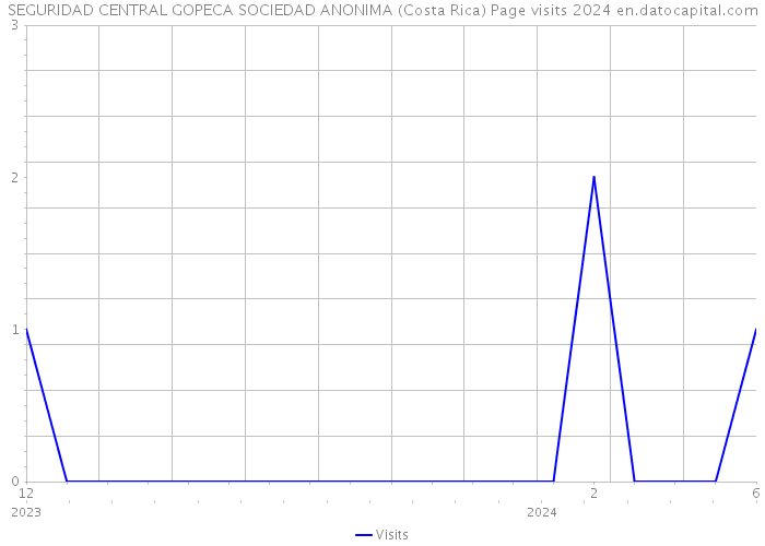 SEGURIDAD CENTRAL GOPECA SOCIEDAD ANONIMA (Costa Rica) Page visits 2024 