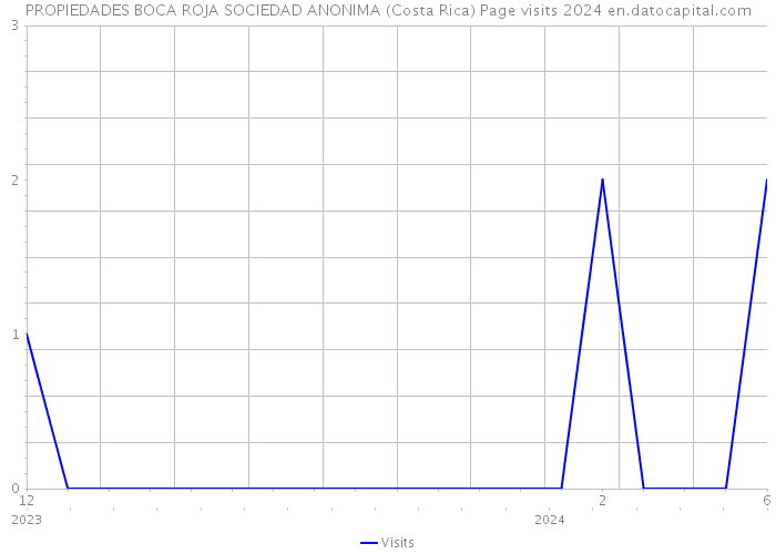 PROPIEDADES BOCA ROJA SOCIEDAD ANONIMA (Costa Rica) Page visits 2024 