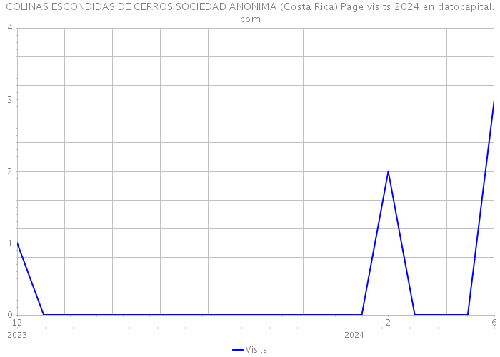 COLINAS ESCONDIDAS DE CERROS SOCIEDAD ANONIMA (Costa Rica) Page visits 2024 