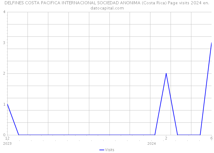 DELFINES COSTA PACIFICA INTERNACIONAL SOCIEDAD ANONIMA (Costa Rica) Page visits 2024 