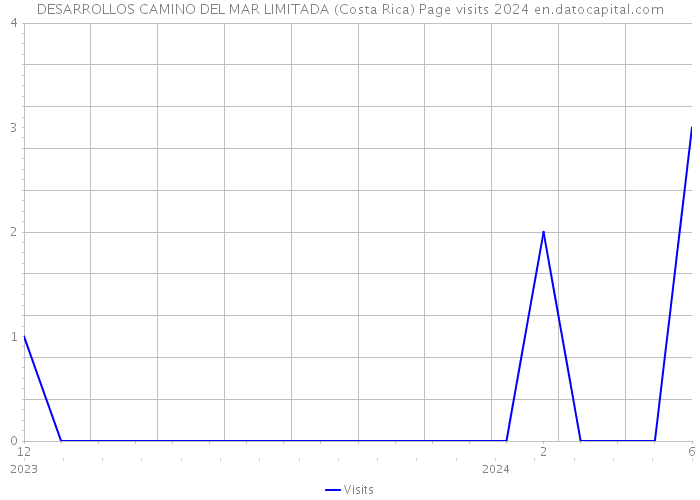 DESARROLLOS CAMINO DEL MAR LIMITADA (Costa Rica) Page visits 2024 