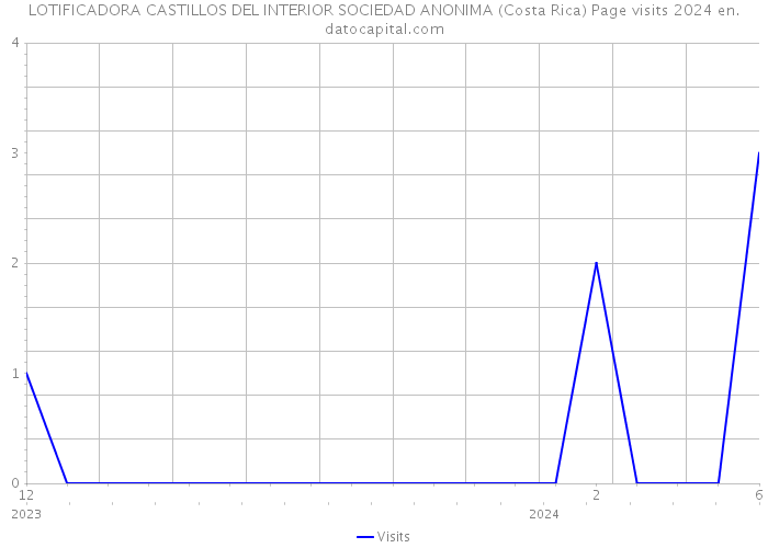 LOTIFICADORA CASTILLOS DEL INTERIOR SOCIEDAD ANONIMA (Costa Rica) Page visits 2024 