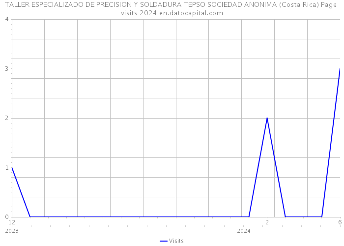 TALLER ESPECIALIZADO DE PRECISION Y SOLDADURA TEPSO SOCIEDAD ANONIMA (Costa Rica) Page visits 2024 