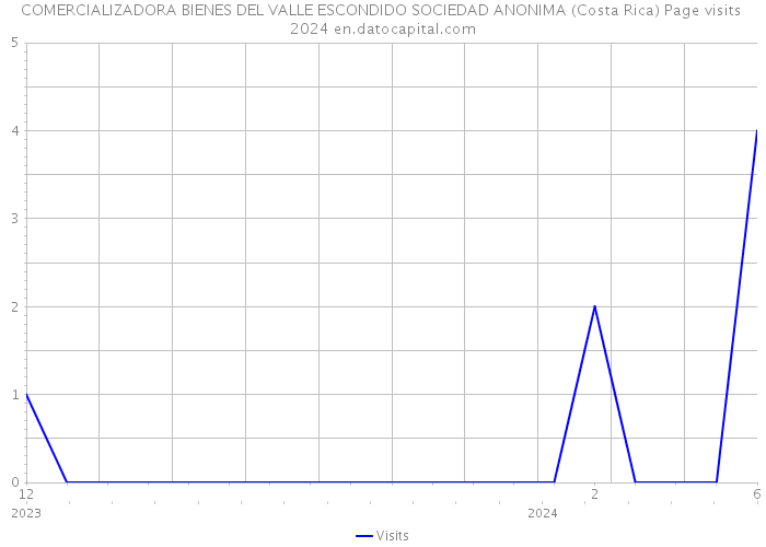 COMERCIALIZADORA BIENES DEL VALLE ESCONDIDO SOCIEDAD ANONIMA (Costa Rica) Page visits 2024 