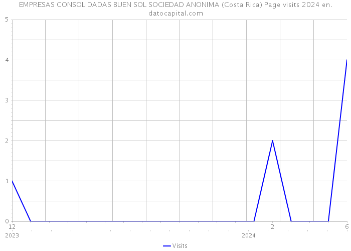 EMPRESAS CONSOLIDADAS BUEN SOL SOCIEDAD ANONIMA (Costa Rica) Page visits 2024 