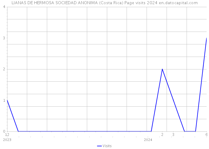 LIANAS DE HERMOSA SOCIEDAD ANONIMA (Costa Rica) Page visits 2024 
