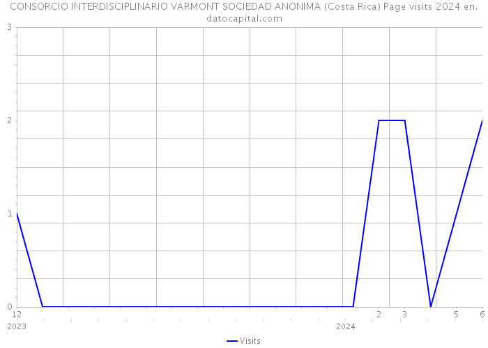 CONSORCIO INTERDISCIPLINARIO VARMONT SOCIEDAD ANONIMA (Costa Rica) Page visits 2024 