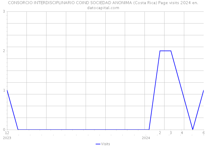 CONSORCIO INTERDISCIPLINARIO COIND SOCIEDAD ANONIMA (Costa Rica) Page visits 2024 