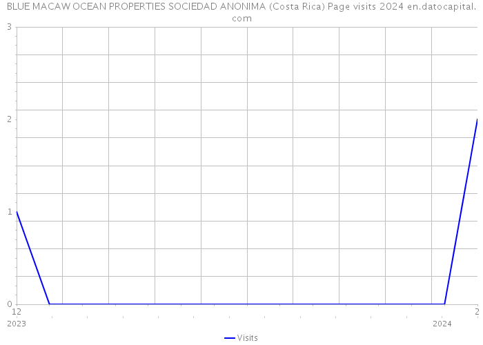 BLUE MACAW OCEAN PROPERTIES SOCIEDAD ANONIMA (Costa Rica) Page visits 2024 