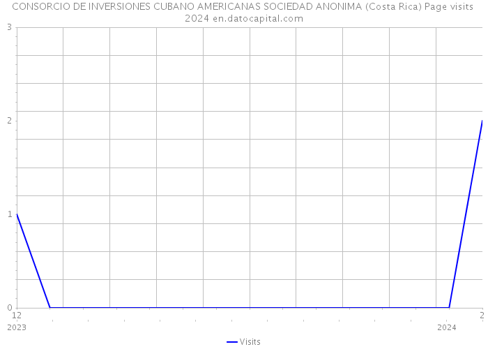 CONSORCIO DE INVERSIONES CUBANO AMERICANAS SOCIEDAD ANONIMA (Costa Rica) Page visits 2024 