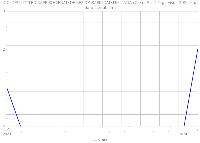 GOLDEN LITTLE GRAPE SOCIEDAD DE RESPONSABILIDAD LIMITADA (Costa Rica) Page visits 2024 