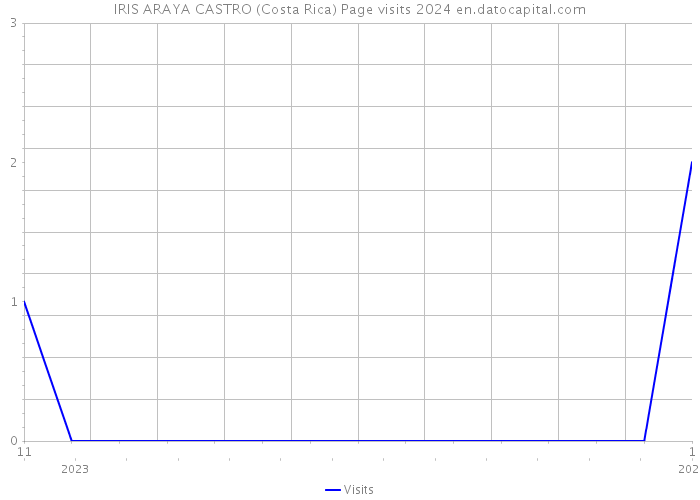 IRIS ARAYA CASTRO (Costa Rica) Page visits 2024 