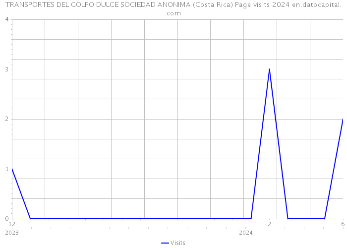 TRANSPORTES DEL GOLFO DULCE SOCIEDAD ANONIMA (Costa Rica) Page visits 2024 