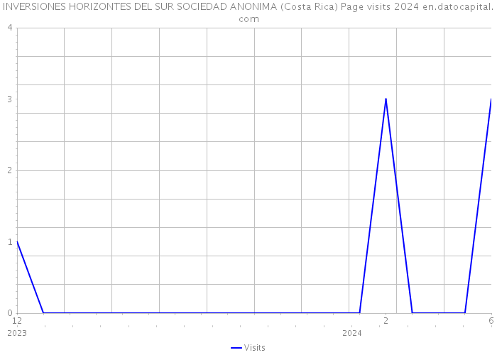 INVERSIONES HORIZONTES DEL SUR SOCIEDAD ANONIMA (Costa Rica) Page visits 2024 