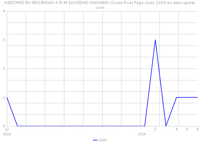 ASESORES EN SEGURIDAD A M M SOCIEDAD ANONIMA (Costa Rica) Page visits 2024 