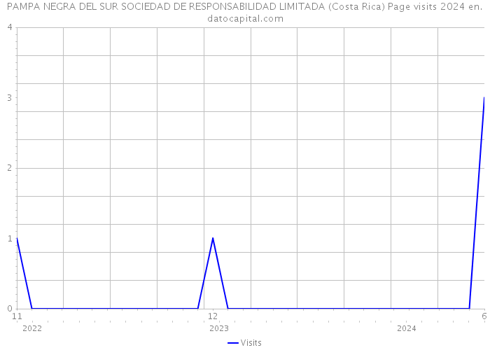 PAMPA NEGRA DEL SUR SOCIEDAD DE RESPONSABILIDAD LIMITADA (Costa Rica) Page visits 2024 