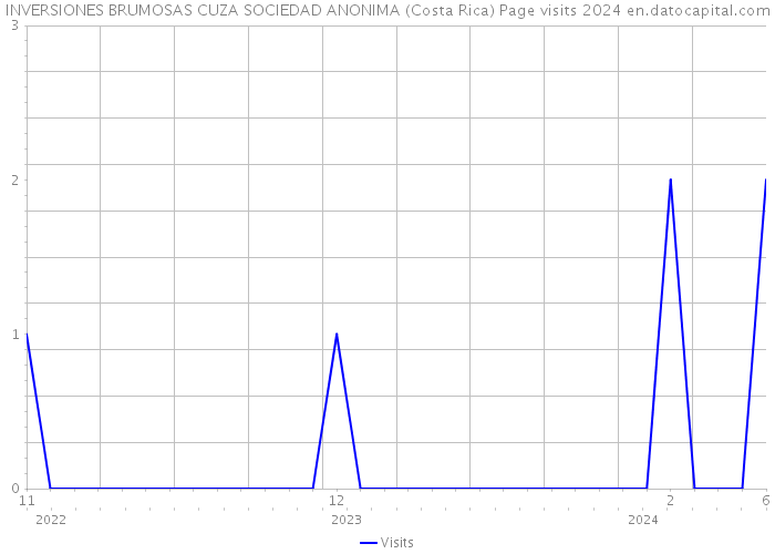 INVERSIONES BRUMOSAS CUZA SOCIEDAD ANONIMA (Costa Rica) Page visits 2024 