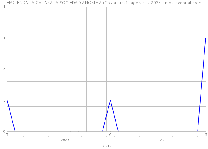 HACIENDA LA CATARATA SOCIEDAD ANONIMA (Costa Rica) Page visits 2024 