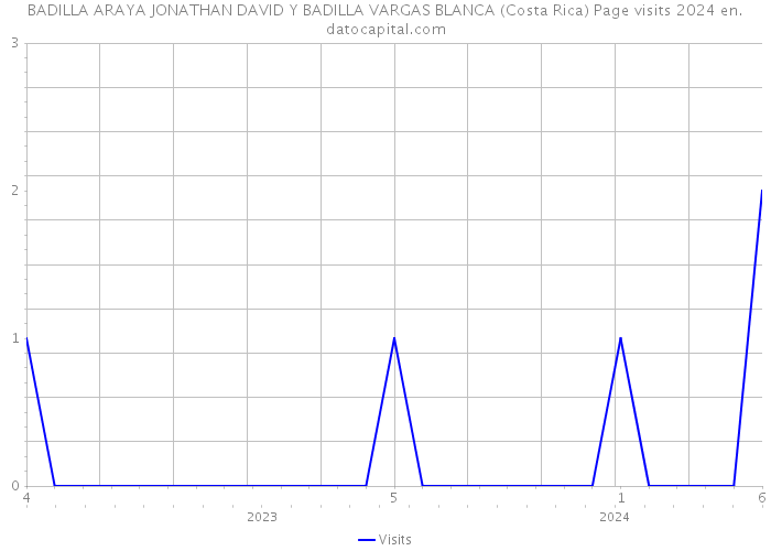 BADILLA ARAYA JONATHAN DAVID Y BADILLA VARGAS BLANCA (Costa Rica) Page visits 2024 