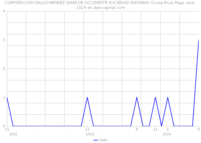CORPORACION SALAS MENDEZ SAME DE OCCIDENTE SOCIEDAD ANONIMA (Costa Rica) Page visits 2024 