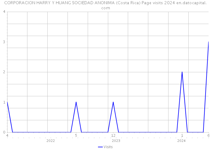 CORPORACION HARRY Y HUANG SOCIEDAD ANONIMA (Costa Rica) Page visits 2024 