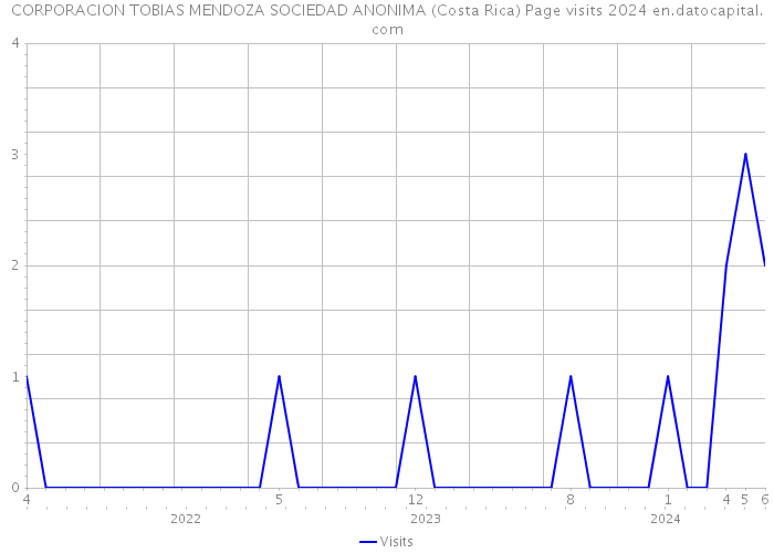 CORPORACION TOBIAS MENDOZA SOCIEDAD ANONIMA (Costa Rica) Page visits 2024 