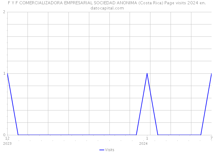 F Y F COMERCIALIZADORA EMPRESARIAL SOCIEDAD ANONIMA (Costa Rica) Page visits 2024 