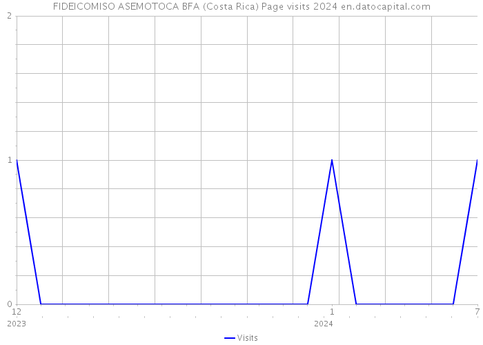 FIDEICOMISO ASEMOTOCA BFA (Costa Rica) Page visits 2024 