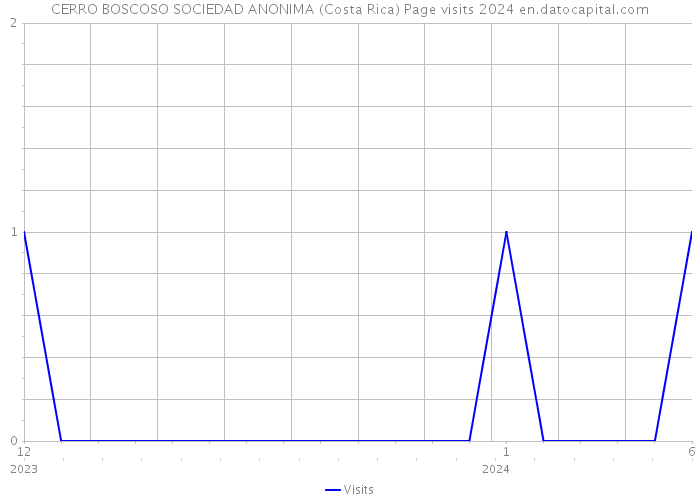 CERRO BOSCOSO SOCIEDAD ANONIMA (Costa Rica) Page visits 2024 