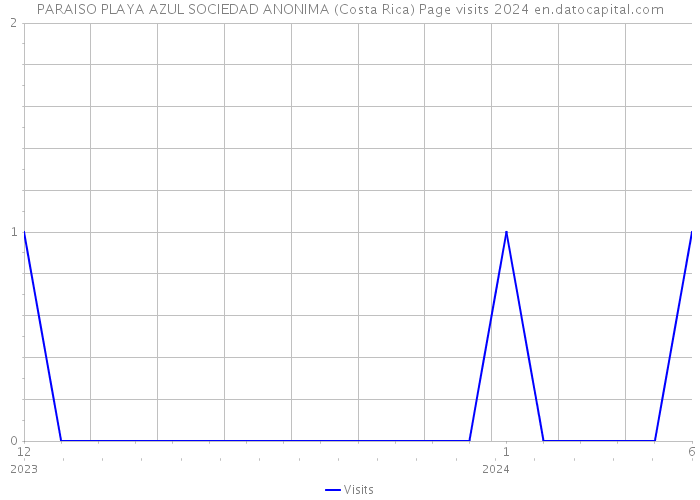 PARAISO PLAYA AZUL SOCIEDAD ANONIMA (Costa Rica) Page visits 2024 