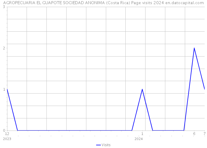 AGROPECUARIA EL GUAPOTE SOCIEDAD ANONIMA (Costa Rica) Page visits 2024 