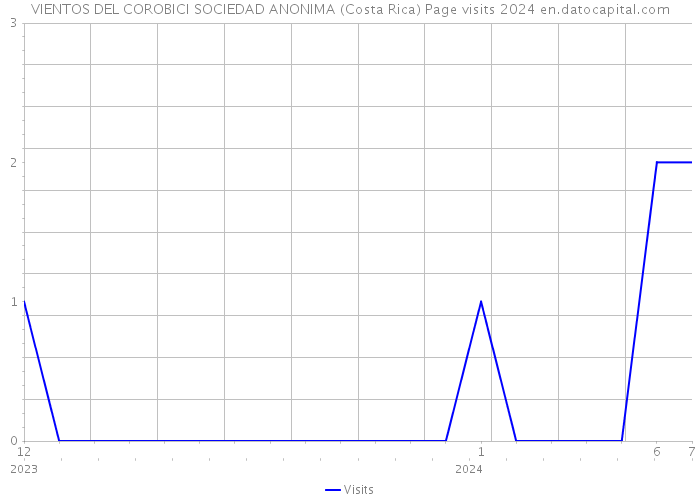 VIENTOS DEL COROBICI SOCIEDAD ANONIMA (Costa Rica) Page visits 2024 
