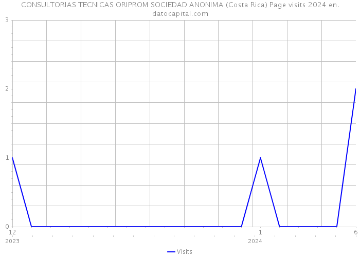CONSULTORIAS TECNICAS ORIPROM SOCIEDAD ANONIMA (Costa Rica) Page visits 2024 