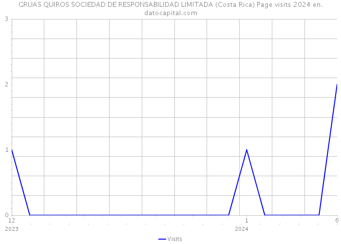 GRUAS QUIROS SOCIEDAD DE RESPONSABILIDAD LIMITADA (Costa Rica) Page visits 2024 