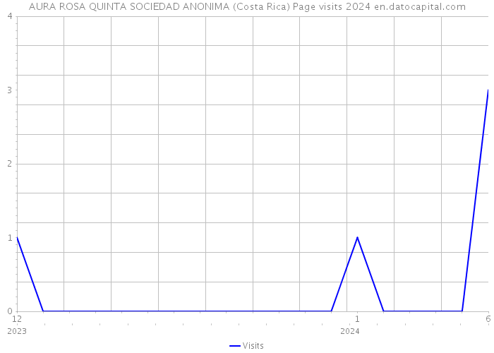 AURA ROSA QUINTA SOCIEDAD ANONIMA (Costa Rica) Page visits 2024 
