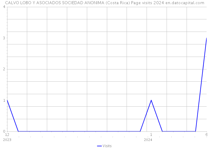 CALVO LOBO Y ASOCIADOS SOCIEDAD ANONIMA (Costa Rica) Page visits 2024 