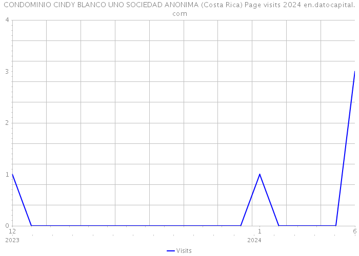 CONDOMINIO CINDY BLANCO UNO SOCIEDAD ANONIMA (Costa Rica) Page visits 2024 