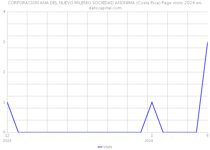 CORPORACION ANA DEL NUEVO MILENIO SOCIEDAD ANONIMA (Costa Rica) Page visits 2024 