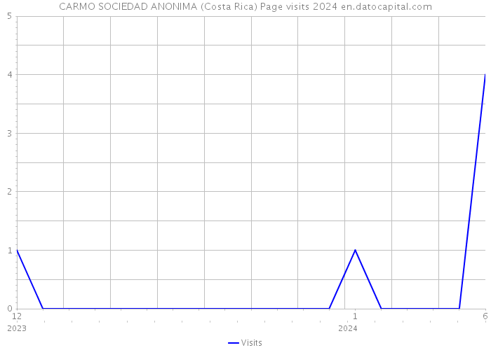 CARMO SOCIEDAD ANONIMA (Costa Rica) Page visits 2024 