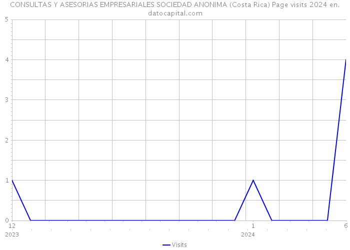 CONSULTAS Y ASESORIAS EMPRESARIALES SOCIEDAD ANONIMA (Costa Rica) Page visits 2024 