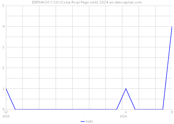 ESPINACH Y CO (Costa Rica) Page visits 2024 