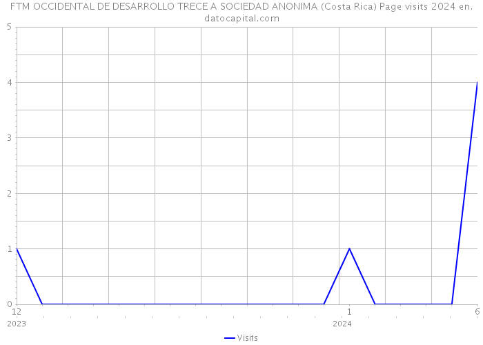 FTM OCCIDENTAL DE DESARROLLO TRECE A SOCIEDAD ANONIMA (Costa Rica) Page visits 2024 