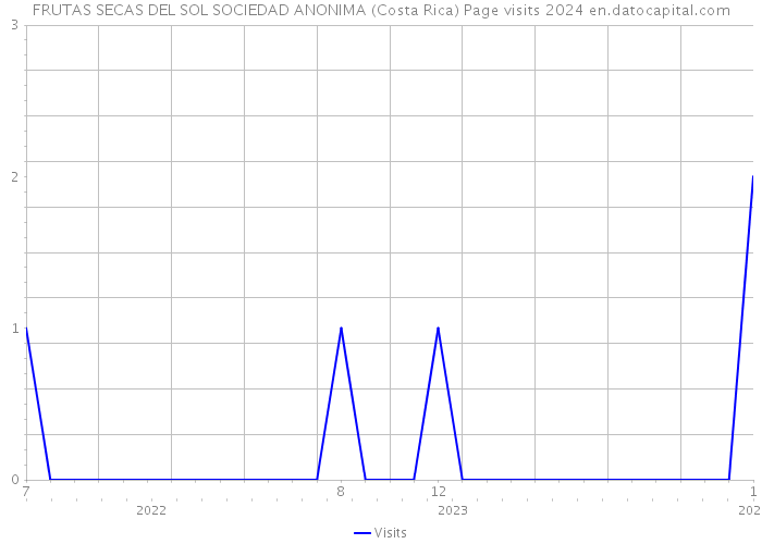 FRUTAS SECAS DEL SOL SOCIEDAD ANONIMA (Costa Rica) Page visits 2024 