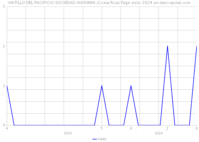 HATILLO DEL PACIFICIO SOCIEDAD ANONIMA (Costa Rica) Page visits 2024 